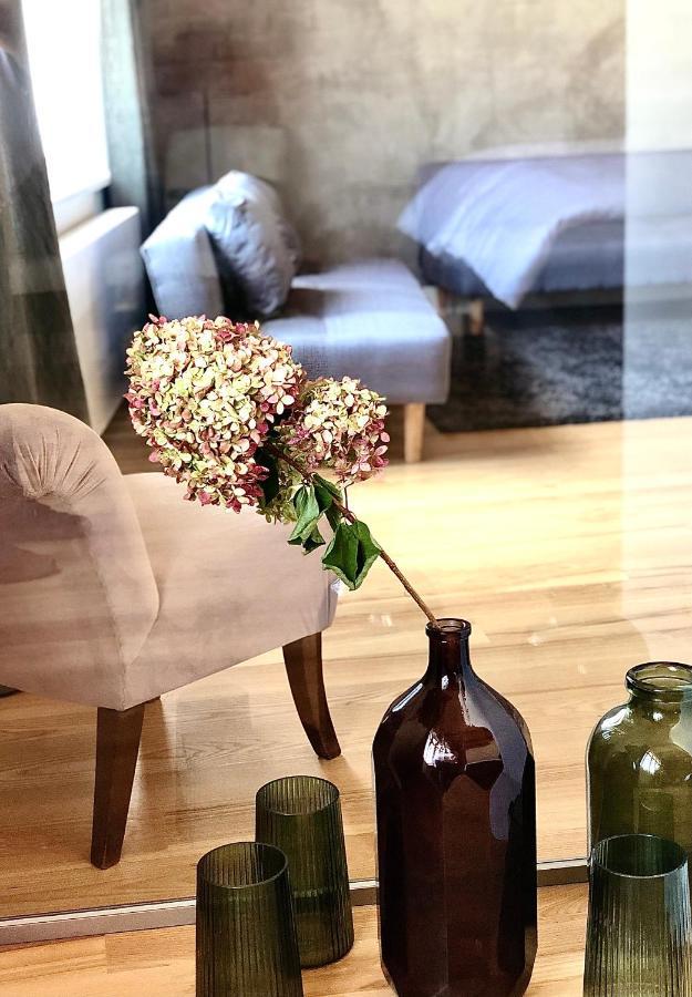 Nový Jičín Boutique Rezidence Baarアパートホテル エクステリア 写真