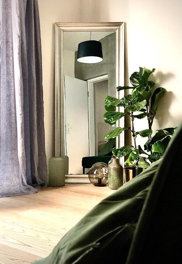 Nový Jičín Boutique Rezidence Baarアパートホテル エクステリア 写真