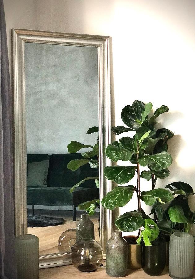 Nový Jičín Boutique Rezidence Baarアパートホテル エクステリア 写真