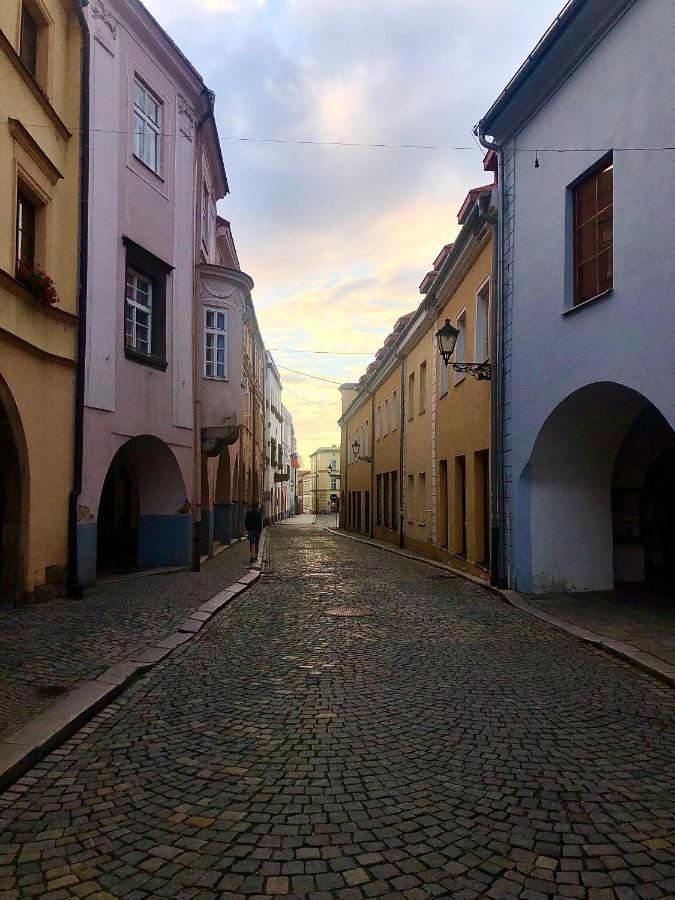 Nový Jičín Boutique Rezidence Baarアパートホテル エクステリア 写真